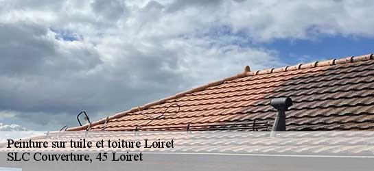 Peinture sur tuile et toiture Loiret 