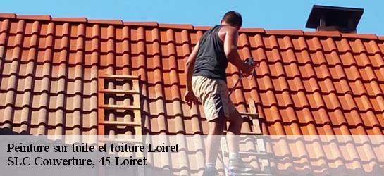 Peinture sur tuile et toiture Loiret 