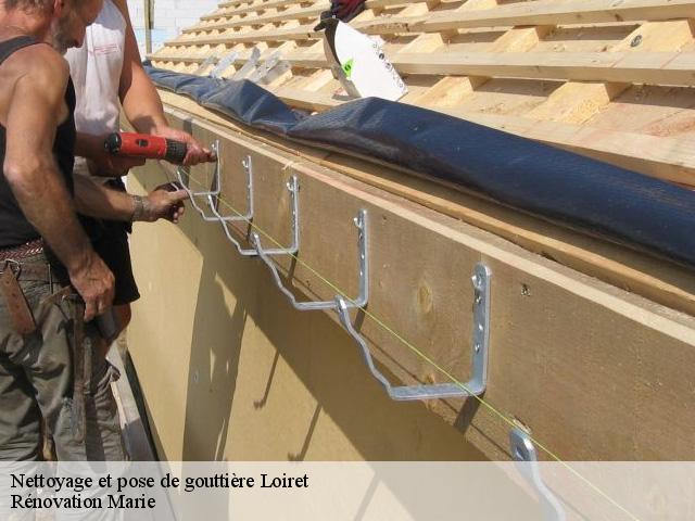 Nettoyage et pose de gouttière 45 Loiret  Rénovation Marie