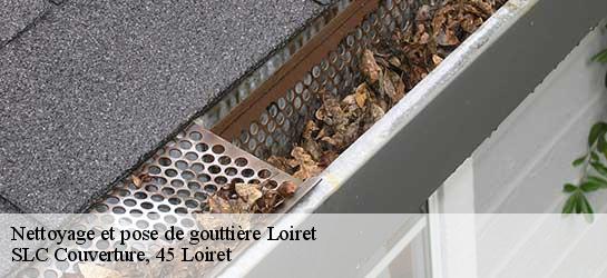 Nettoyage et pose de gouttière Loiret 