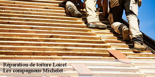 Réparation de toiture 45 Loiret  Les compagnons Michelet