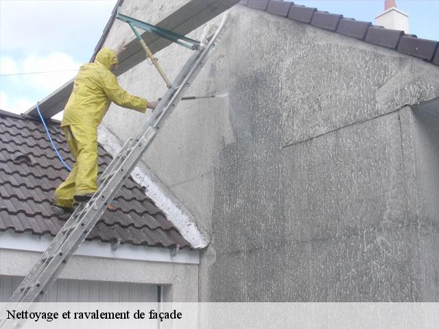 Nettoyage et ravalement de façade Loiret 