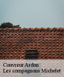 Couvreur  ardon-45160 Les compagnons Michelet