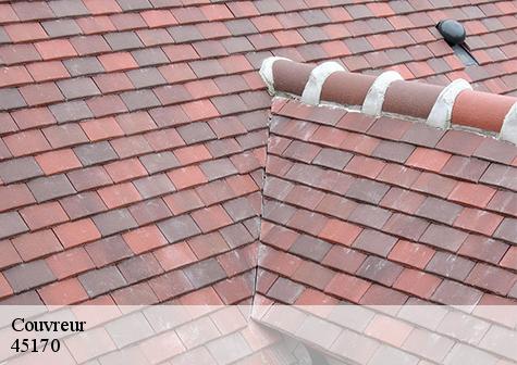 Couvreur  attray-45170 Les compagnons Michelet