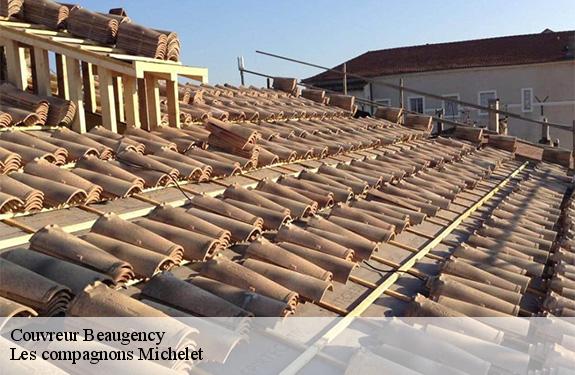 Couvreur beaugency-45190 Les compagnons Michelet