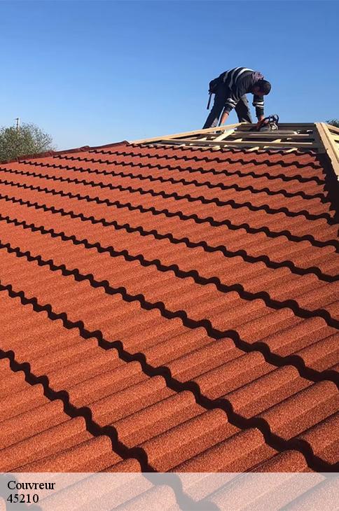 Couvreur  chevry-sous-le-bignon-45210 Les compagnons Michelet