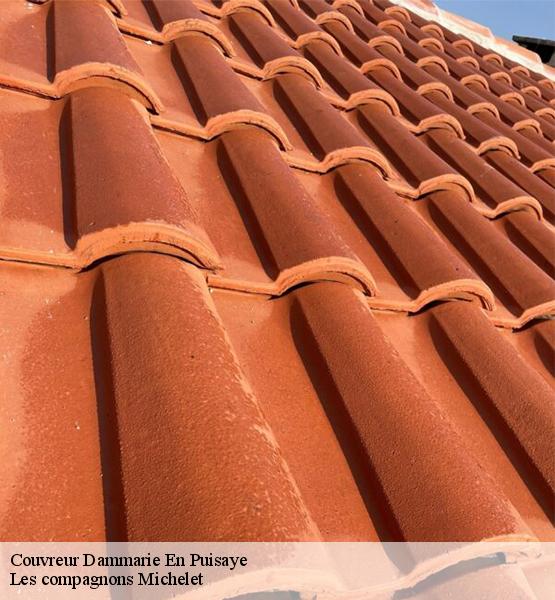 Couvreur  dammarie-en-puisaye-45420 Les compagnons Michelet