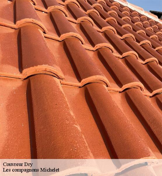 Couvreur  dry-45370 Les compagnons Michelet