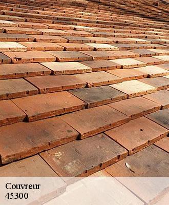 Couvreur  estouy-45300 Les compagnons Michelet