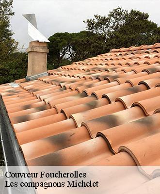 Couvreur  foucherolles-45320 Les compagnons Michelet
