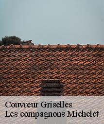 Couvreur  griselles-45210 Les compagnons Michelet