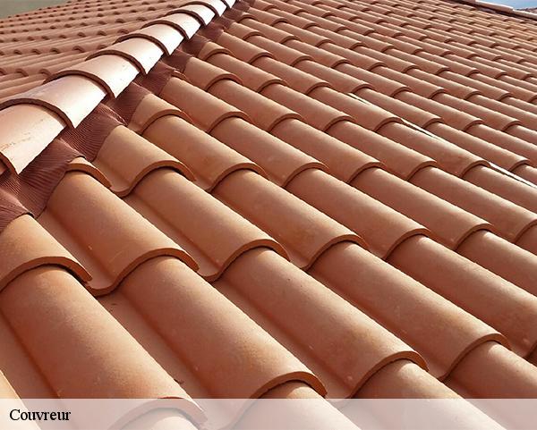 Couvreur  ingrannes-45450 Les compagnons Michelet