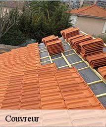 Couvreur  juranville-45340 Les compagnons Michelet