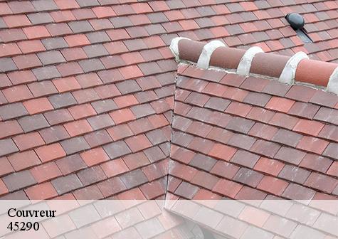 Couvreur  le-moulinet-sur-solin-45290 Les compagnons Michelet