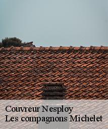 Couvreur  nesploy-45270 Les compagnons Michelet