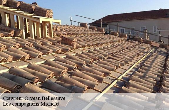 Couvreur orveau-bellesauve-45330 Les compagnons Michelet