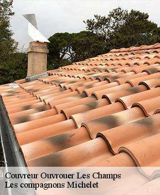 Couvreur  45150