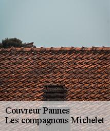Couvreur  pannes-45700 Les compagnons Michelet