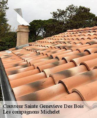 Couvreur  sainte-genevieve-des-bois-45230 Les compagnons Michelet
