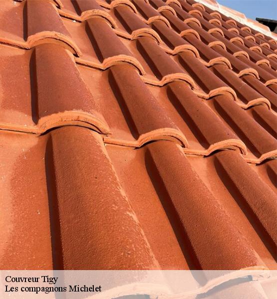 Couvreur  tigy-45510 Les compagnons Michelet