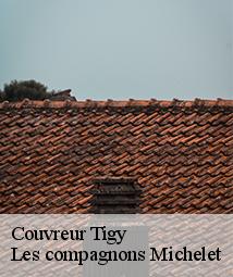 Couvreur  tigy-45510 Les compagnons Michelet