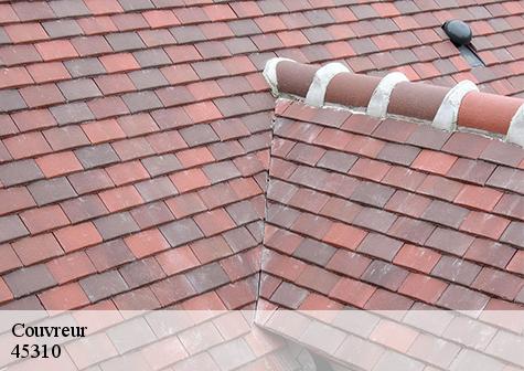 Couvreur  tournoisis-45310 Les compagnons Michelet