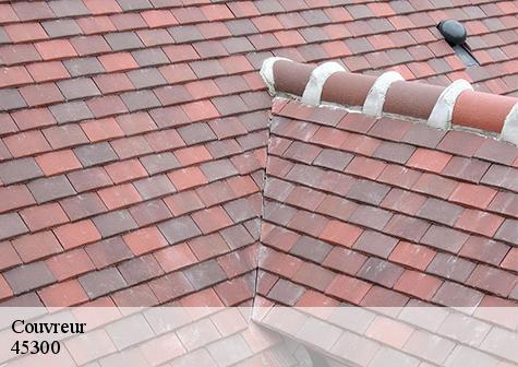 Couvreur  vrigny-45300 Les compagnons Michelet