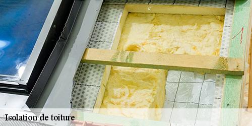 Isolation de toiture  boesse-45390 Les compagnons Michelet