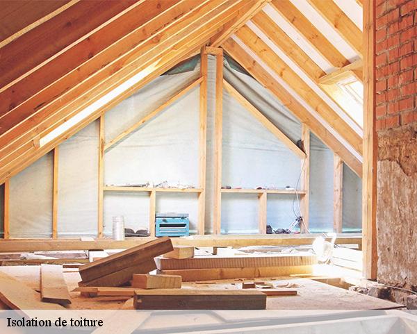 Isolation de toiture  boulay-les-barres-45140 Les compagnons Michelet