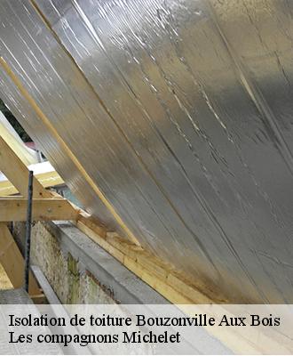 Isolation de toiture  bouzonville-aux-bois-45300 Les compagnons Michelet