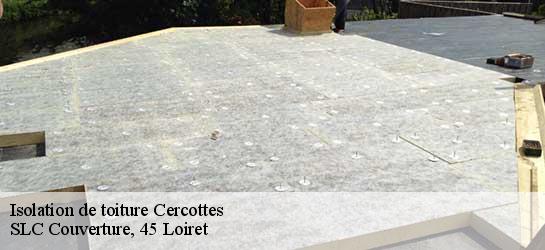 Isolation de toiture  45520