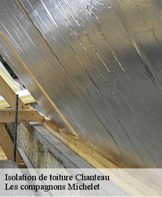Isolation de toiture  chanteau-45400 Les compagnons Michelet