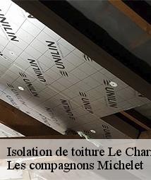 Isolation de toiture  le-charme-45230 Les compagnons Michelet