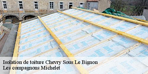 Isolation de toiture  chevry-sous-le-bignon-45210 Les compagnons Michelet