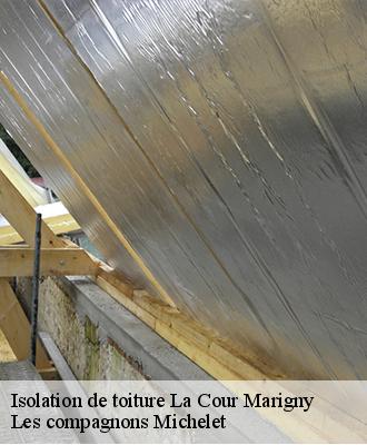 Isolation de toiture  la-cour-marigny-45260 Les compagnons Michelet