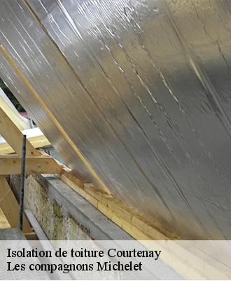 Isolation de toiture  courtenay-45320 Les compagnons Michelet
