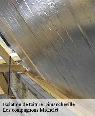 Isolation de toiture  dimancheville-45390 Les compagnons Michelet