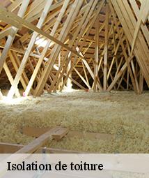 Isolation de toiture  huisseau-sur-mauves-45130 Les compagnons Michelet