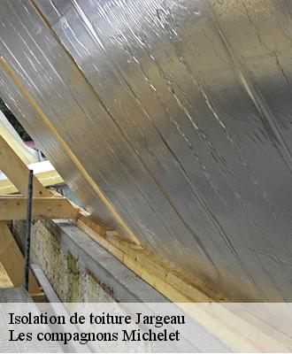 Isolation de toiture  jargeau-45150 Les compagnons Michelet
