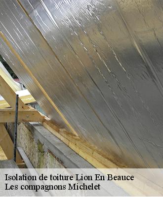 Isolation de toiture  lion-en-beauce-45410 Les compagnons Michelet