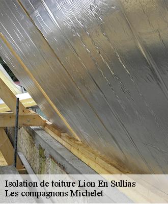 Isolation de toiture  lion-en-sullias-45600 Les compagnons Michelet