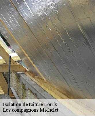 Isolation de toiture  lorris-45260 Les compagnons Michelet