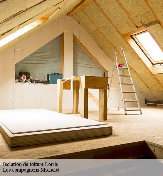 Isolation de toiture  lorris-45260 Les compagnons Michelet