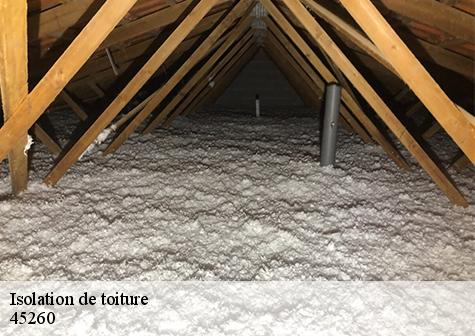 Isolation de toiture  lorris-45260 Les compagnons Michelet