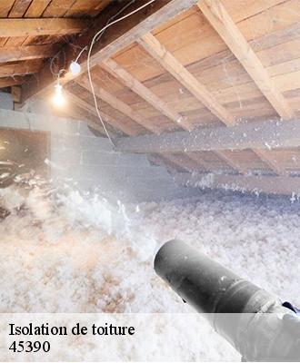 Isolation de toiture  ondreville-sur-essonne-45390 Les compagnons Michelet