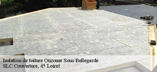 Isolation de toiture  45270