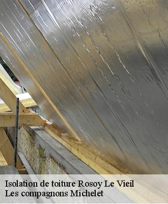 Isolation de toiture  rosoy-le-vieil-45210 Les compagnons Michelet