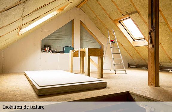 Isolation de toiture  45560