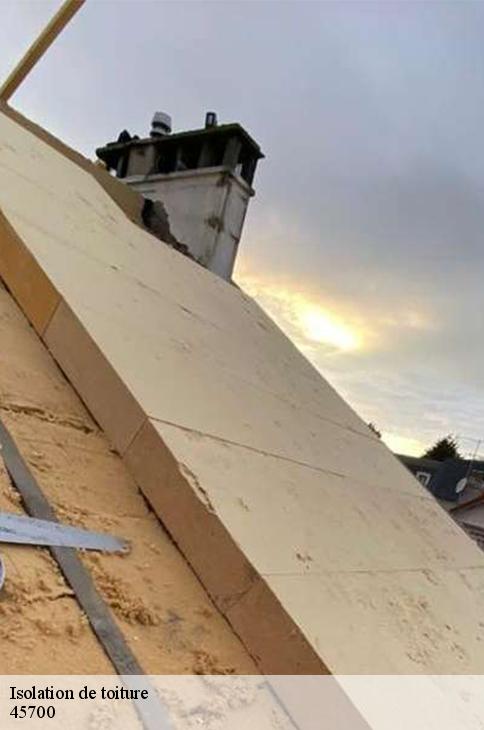 Isolation de toiture  saint-maurice-sur-fessard-45700 Les compagnons Michelet