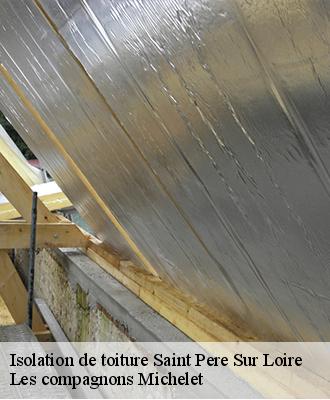 Isolation de toiture  saint-pere-sur-loire-45600 Les compagnons Michelet